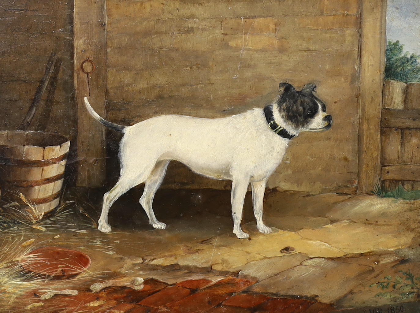 19th century English School, oil on board, Study of a terrier, monogrammed AGR and dated 1850, 16 x 21cm